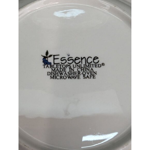 Tabletops Unlimited Stoneware Essence Rimmed Soup Bowl Fruit Pattern Set of 2 - Picture 6 of 6